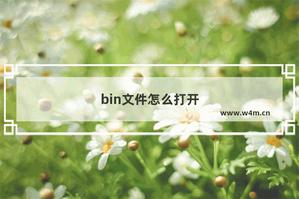 bin文件怎么打开