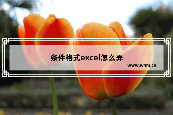 条件格式excel怎么弄