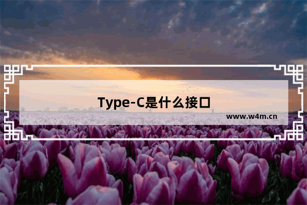 Type-C是什么接口