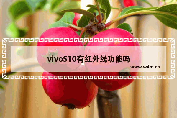 vivoS10有红外线功能吗