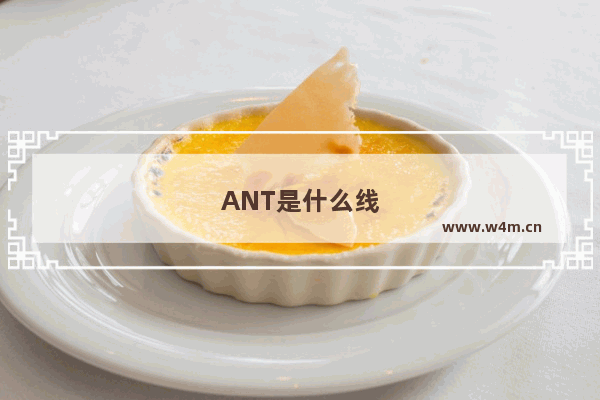 ANT是什么线