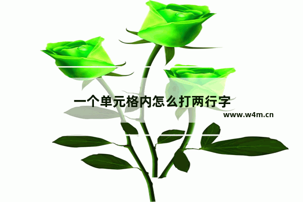 一个单元格内怎么打两行字