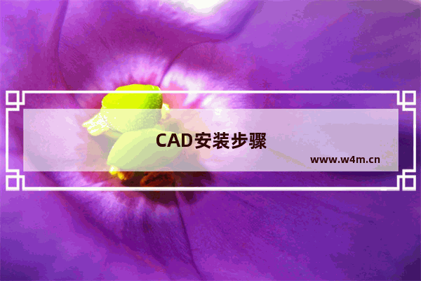 CAD安装步骤