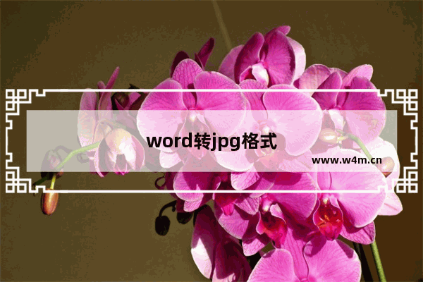 word转jpg格式