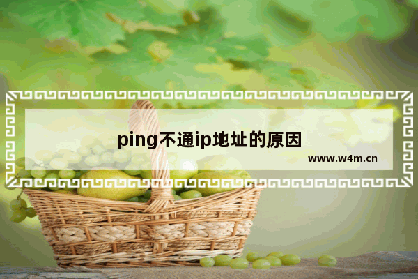 ping不通ip地址的原因