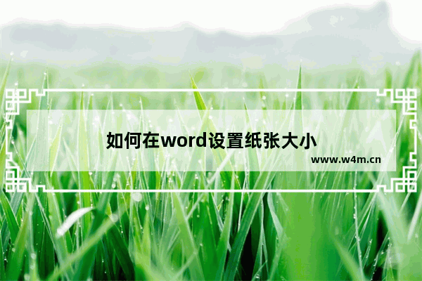 如何在word设置纸张大小