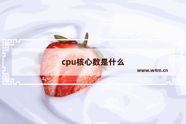 cpu核心数是什么