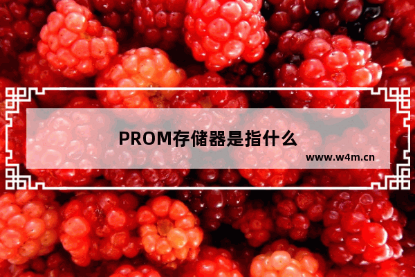 PROM存储器是指什么