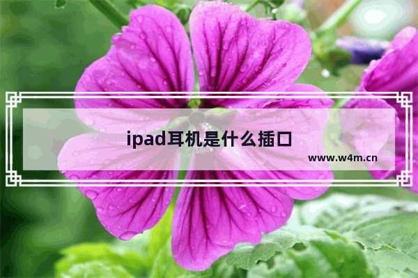 ipad耳机是什么插口