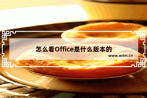 怎么看Office是什么版本的