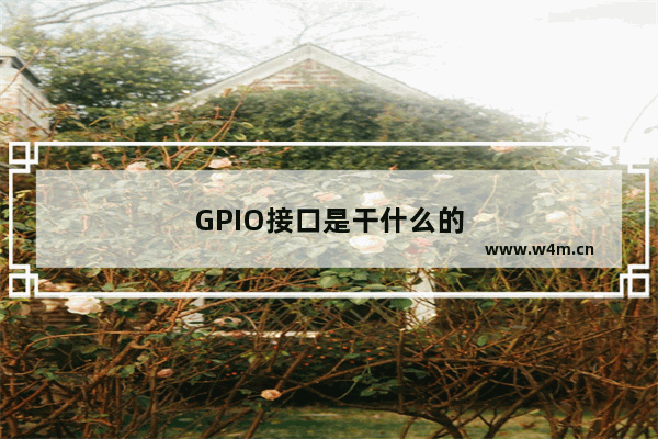 GPIO接口是干什么的