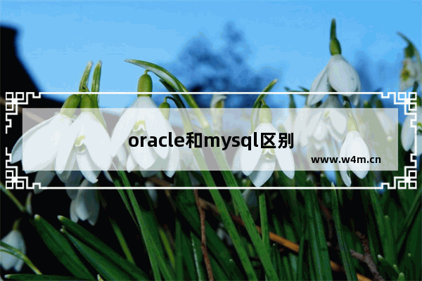 oracle和mysql区别