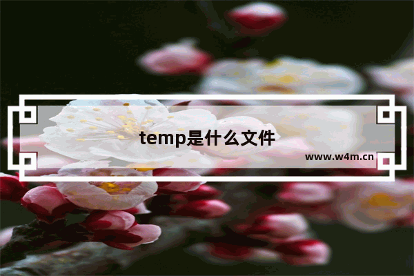 temp是什么文件