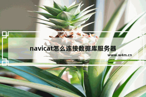 navicat怎么连接数据库服务器