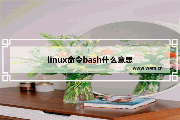 linux命令bash什么意思