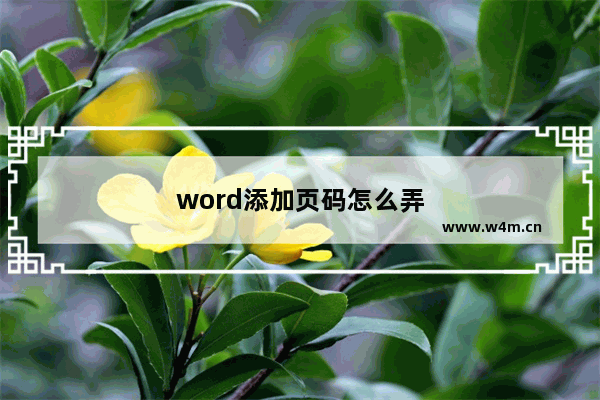 word添加页码怎么弄