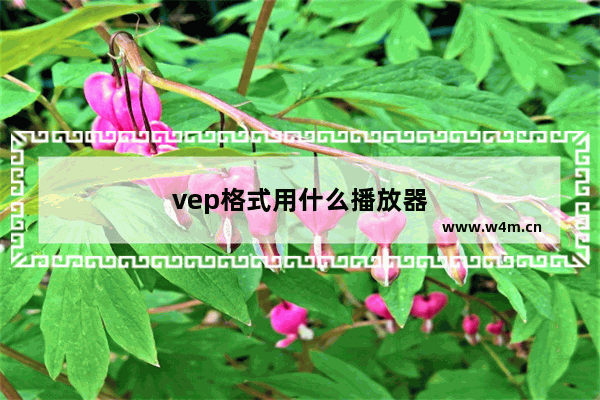 vep格式用什么播放器