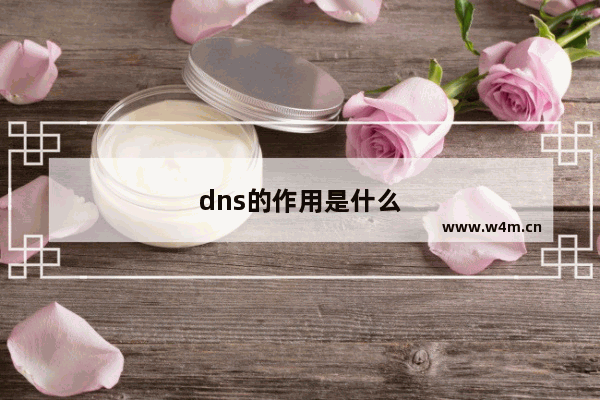 dns的作用是什么