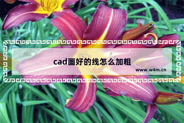 cad画好的线怎么加粗