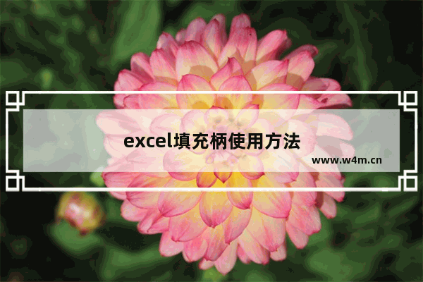 excel填充柄使用方法