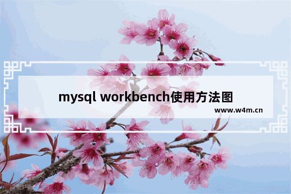 mysql workbench使用方法图解