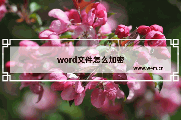 word文件怎么加密