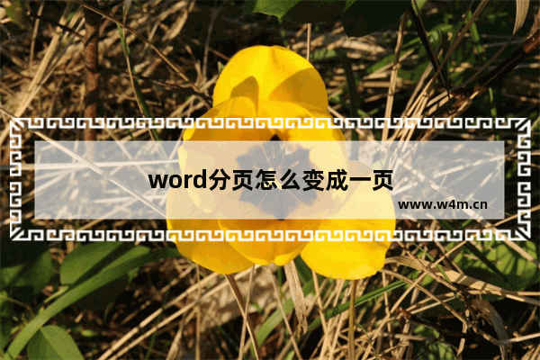 word分页怎么变成一页