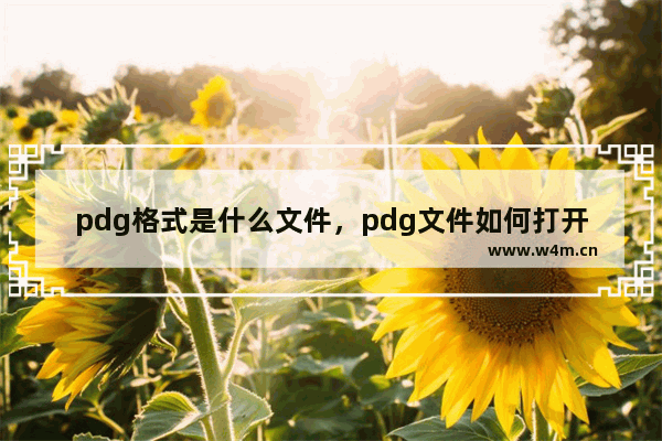 pdg格式是什么文件，pdg文件如何打开