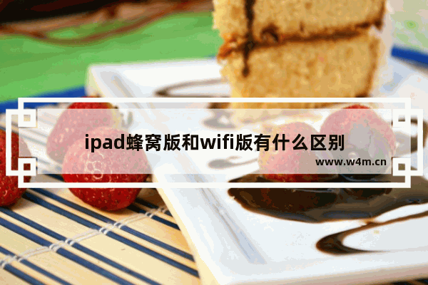 ipad蜂窝版和wifi版有什么区别