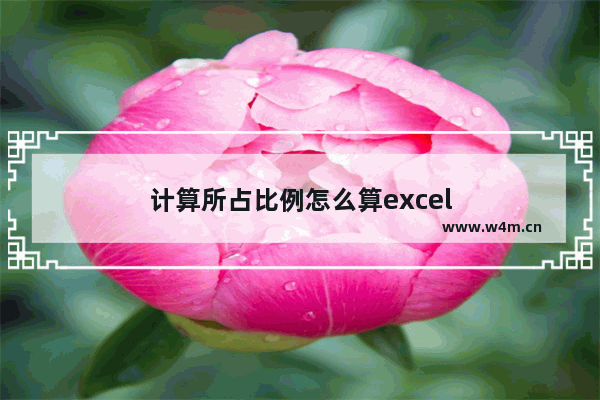 计算所占比例怎么算excel