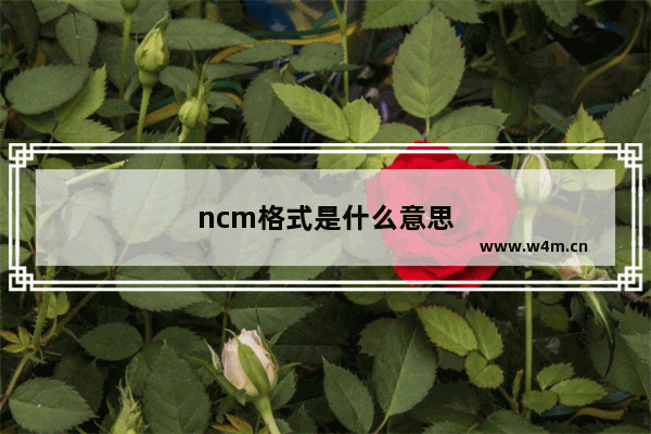 ncm格式是什么意思