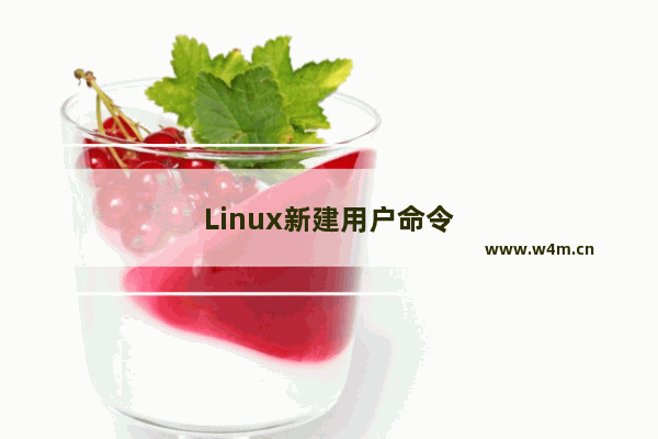 Linux新建用户命令