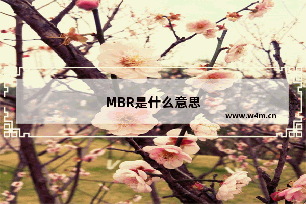 MBR是什么意思