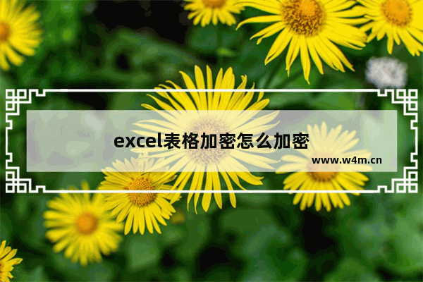 excel表格加密怎么加密