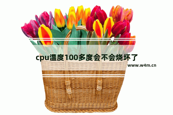 cpu温度100多度会不会烧坏了