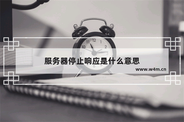 服务器停止响应是什么意思