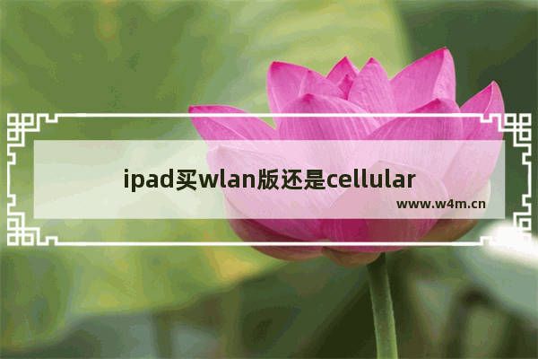 ipad买wlan版还是cellular版