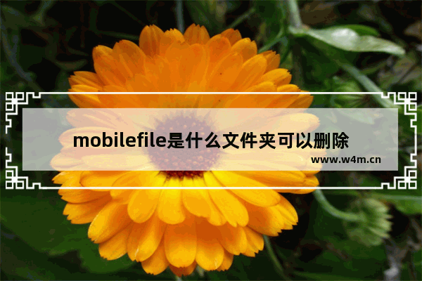 mobilefile是什么文件夹可以删除吗