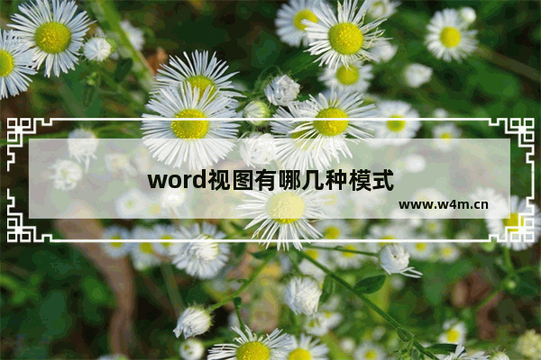 word视图有哪几种模式