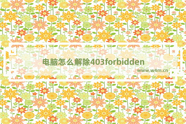 电脑怎么解除403forbidden