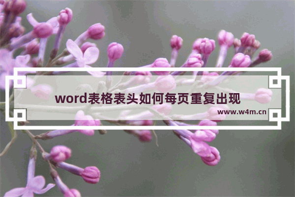 word表格表头如何每页重复出现