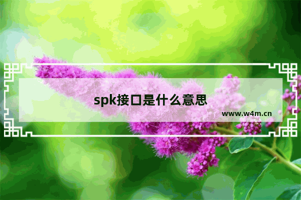 spk接口是什么意思