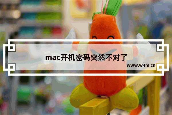 mac开机密码突然不对了