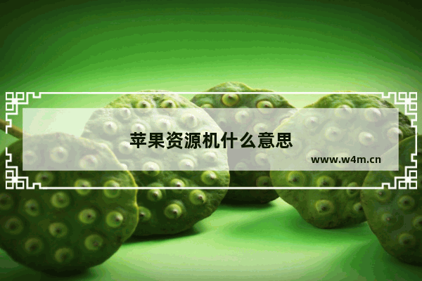 苹果资源机什么意思