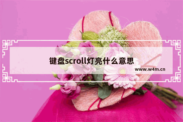 键盘scroll灯亮什么意思