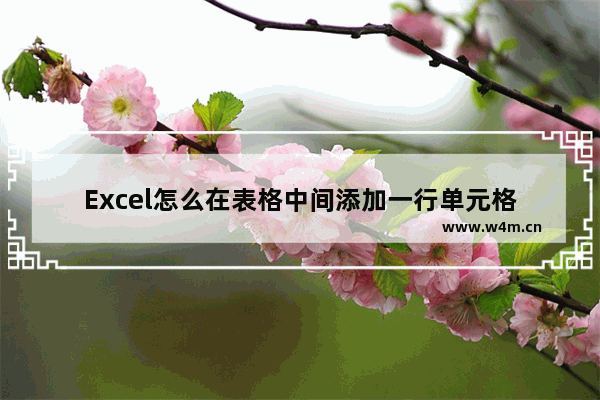 Excel怎么在表格中间添加一行单元格