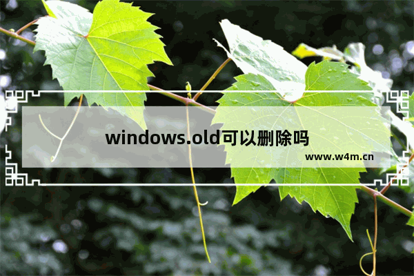 windows.old可以删除吗