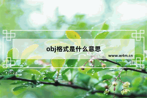 obj格式是什么意思