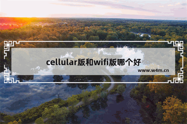 cellular版和wifi版哪个好