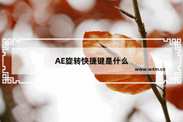 AE旋转快捷键是什么